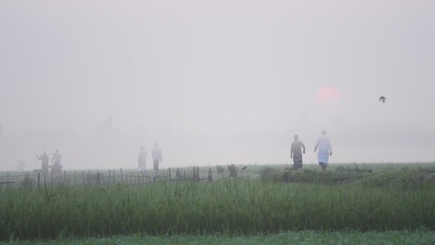 View of people walking in a foggy field at sunrise Bangladesh.