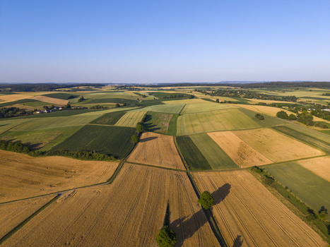 Aerial view of the Kraichgau region featuring a patchwork of golden wheat fields and green agricultural plots in Weingarten Baden Wurttemberg Germany. Aerial view of the Kraichgau region featuring a patchwork of golden wheat fields and green agricultural plots in Weingarten Baden Wurttemberg Germany.