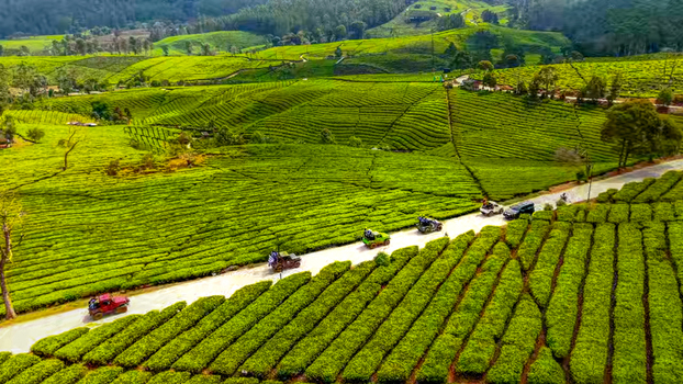 Aerial view of Kebun Teh Riung Gunung with off road vehicles driving along a winding road through lush green terraced tea plantations in Kecamatan Pangalengan Jawa Barat Indonesia.