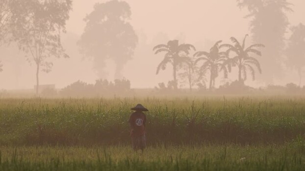 View of a farmer walking through a misty field in Bogura Bangladesh.