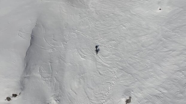 Aerial view of people trekking on snow Italy.