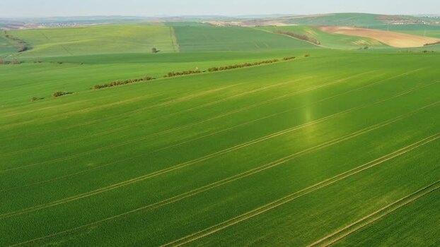 Aerial view of rolling green fields in South Moravian Region Czechia.
