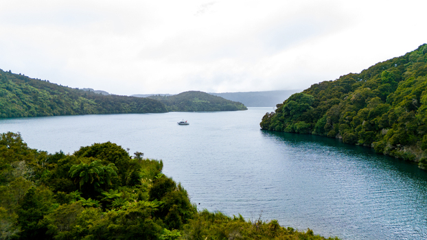Aerial view of a boat sailing through the calm deep blue waters framed by lush green hills under a soft overcast sky Marlborough New Zealand. Aerial view of a boat sailing through the calm deep blue waters framed by lush green hills under a soft overcast sky Marlborough New Zealand.
