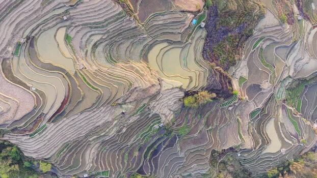 Aerial view of rice terraces China.