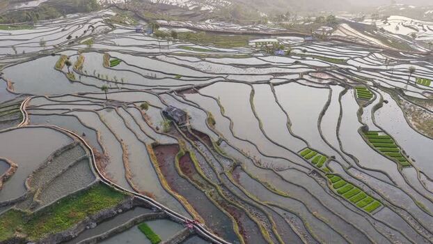 Aerial view of rice terraces China.