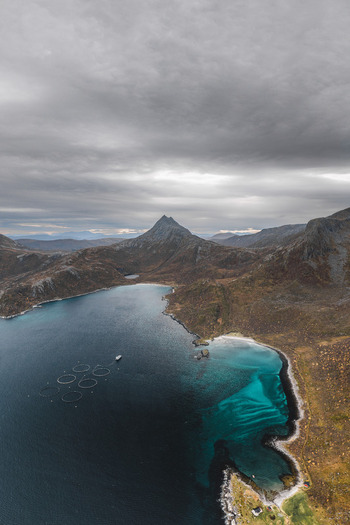 Aerial view of the rugged coastline and turquoise waters of Senja featuring fish farm cages in the bay surrounded by dramatic mountains in Senja Troms Norway.
