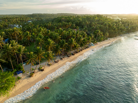 Aerial view of Mahaybo Beach with lush palm trees lining the sandy shore clear turquoise water and people surfing in the waves during golden hour in General Luna Caraga Philippines. Aerial view of Mahaybo Beach with lush palm trees lining the sandy shore clear turquoise water and people surfing in the waves during golden hour in General Luna Caraga Philippines.