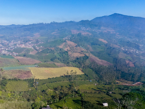 Aerial view of Sunrise Point Cukul surrounded by lush tea plantations rolling hills and rural settlements under a clear blue sky in Kecamatan Pangalengan Jawa Barat Indonesia. Aerial view of Sunrise Point Cukul surrounded by lush tea plantations rolling hills and rural settlements under a clear blue sky in Kecamatan Pangalengan Jawa Barat Indonesia.