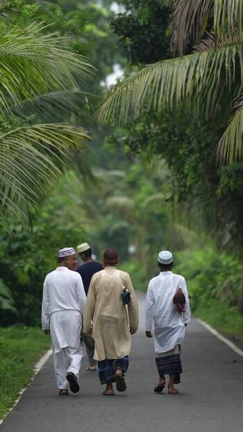 View of men walking on a rural road lined with palm trees Bangladesh. View of men walking on a rural road lined with palm trees Bangladesh.