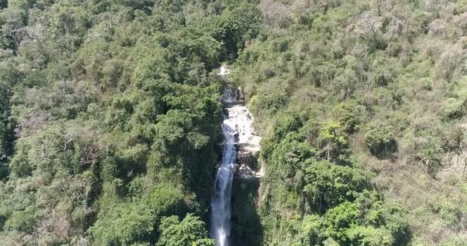 Aerial view of waterfall in Henri Pittier National Park Venezuela.