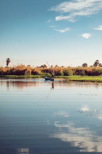 View of a fisherman standing in a small wooden boat on the calm waters of the Nile River surrounded by lush reeds and palm trees under a clear blue sky in Aswan Aswan Governorate Egypt. View of a fisherman standing in a small wooden boat on the calm waters of the Nile River surrounded by lush reeds and palm trees under a clear blue sky in Aswan Aswan Governorate Egypt.