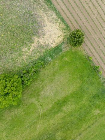 Aerial view of lush green meadows and cultivated agricultural fields with rows of crops and scattered trees Aiglsbach Bavaria Germany. Aerial view of lush green meadows and cultivated agricultural fields with rows of crops and scattered trees Aiglsbach Bavaria Germany.
