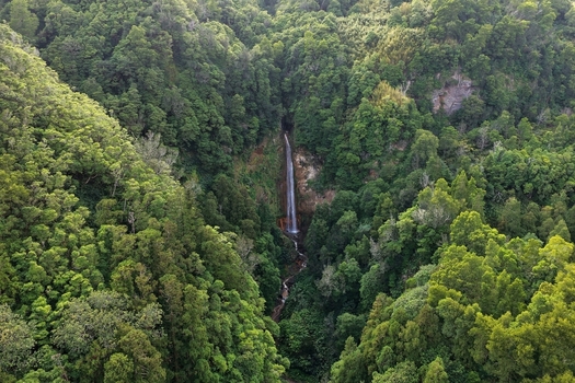 Aerial view of Cascata da Ribeira Quente waterfall cascading down a steep hillside surrounded by dense green forest in Ribeira Quente Azores Portugal. Aerial view of Cascata da Ribeira Quente waterfall cascading down a steep hillside surrounded by dense green forest in Ribeira Quente Azores Portugal.