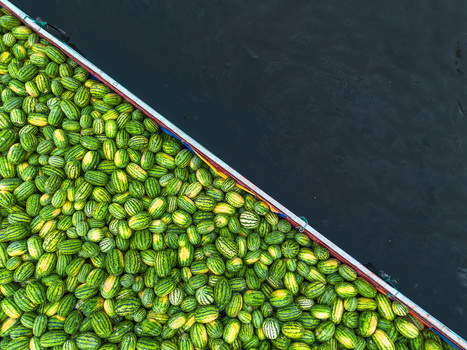Aerial view of a truck loaded with vibrant green and yellow striped watermelons contrasted against the dark truck bed Dhaka Dhaka Division Bangladesh. Aerial view of a truck loaded with vibrant green and yellow striped watermelons contrasted against the dark truck bed Dhaka Dhaka Division Bangladesh.