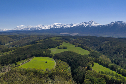 Aerial view of lush green fields and dense forests set against the backdrop of snow capped mountains under a clear blue sky in Furano Hokkaido Japan. Aerial view of lush green fields and dense forests set against the backdrop of snow capped mountains under a clear blue sky in Furano Hokkaido Japan.