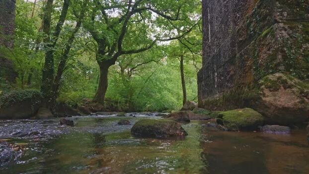 View of River Par under the Treffry Viaduct United Kingdom. View of River Par under the Treffry Viaduct United Kingdom.