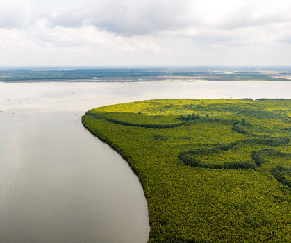 Aerial view of the dense green mangrove forest bordering the wide river estuary under a cloudy sky in Opobo Town Rivers Nigeria. Aerial view of the dense green mangrove forest bordering the wide river estuary under a cloudy sky in Opobo Town Rivers Nigeria.