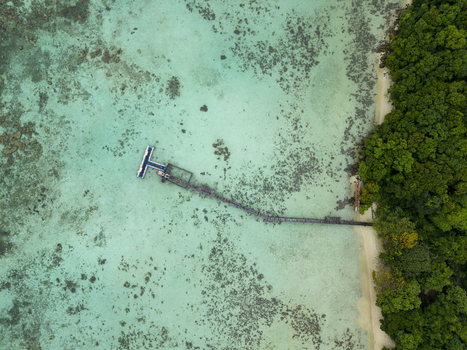 Aerial view of a wooden pier stretching into turquoise waters contrasting with the lush green shoreline at Turtle Conservation Karimunjawa Central Java Indonesia.