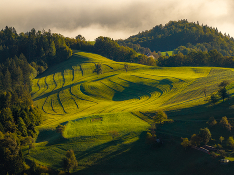 Aerial view of rolling green hills with terraced fields and lush forest under soft morning light in Spodnja Lusa Skofja Loka Slovenia.
