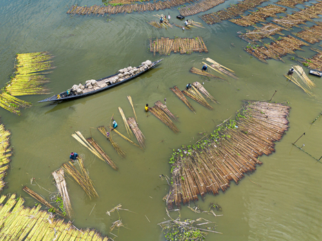 Natore Bangladesh 25 July 2026 Aerial view of workers processing jute fibers in the water with a wooden boat and bundles of harvested plants.