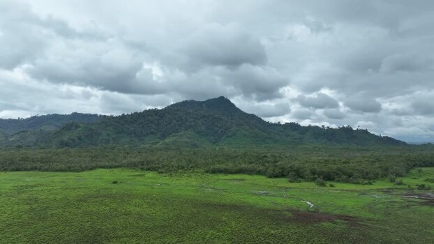 Aerial view of Rawa Bento wetlands in Jambi Indonesia. Aerial view of Rawa Bento wetlands in Jambi Indonesia.