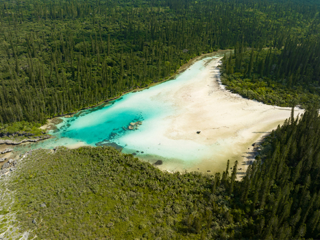 Aerial view of the vivid turquoise waters of Oro Natural Pool meeting the pale sands embraced by the verdant forest L Île des Pins New Caledonia. Aerial view of the vivid turquoise waters of Oro Natural Pool meeting the pale sands embraced by the verdant forest L Île des Pins New Caledonia.