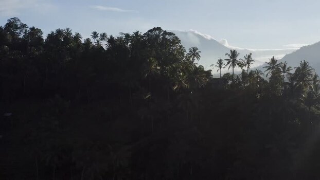 Aerial view of Mount Agung behind tropical palm trees Indonesia. Aerial view of Mount Agung behind tropical palm trees Indonesia.