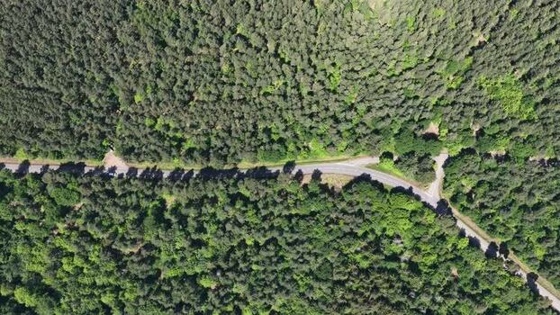 Aerial view of a winding road through a dense forest France.