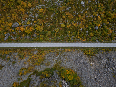 Aerial view of a straight asphalt road cutting through a rocky hillside with vibrant autumn foliage and scattered boulders in Henningsvaer Nordland Norway.