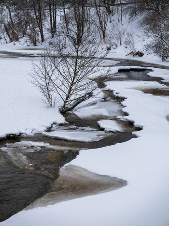 View of a partially frozen stream flowing through a snow covered landscape with bare trees and ice formations in Vilnius Vilnius County Lithuania. View of a partially frozen stream flowing through a snow covered landscape with bare trees and ice formations in Vilnius Vilnius County Lithuania.