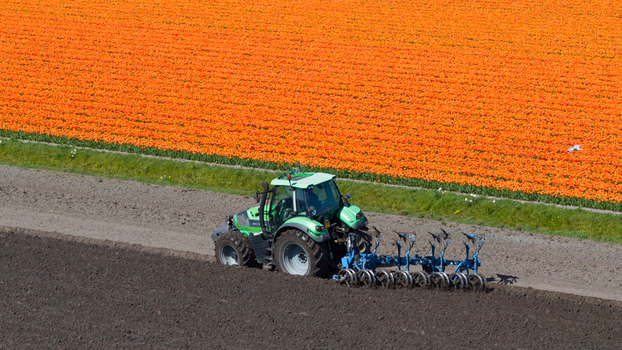 Aerial view of a green tractor plowing dark soil next to a vibrant orange tulip field under bright daylight Heiloo North Holland Netherlands. Aerial view of a green tractor plowing dark soil next to a vibrant orange tulip field under bright daylight Heiloo North Holland Netherlands.