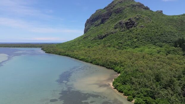 Aerial view of Le Morne Brabant mountain in Mauritius.