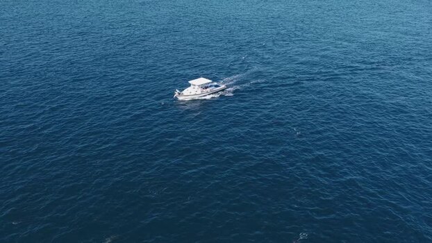Aerial view of a motorboat and a pod of dolphins Maldives. Aerial view of a motorboat and a pod of dolphins Maldives.