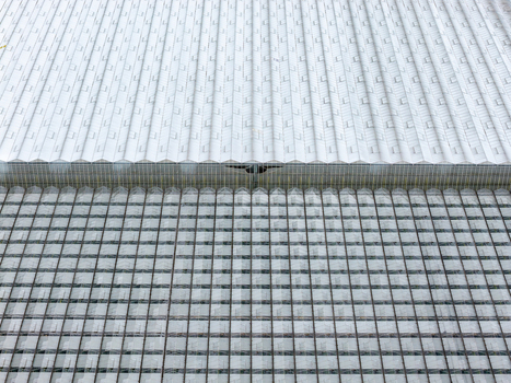 Aerial view of a large greenhouse farm with repeating glass roof panels in Poland. Aerial view of a large greenhouse farm with repeating glass roof panels in Poland.