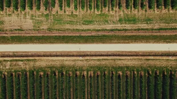 Aerial view of vineyard in Mala Remeta Serbia.