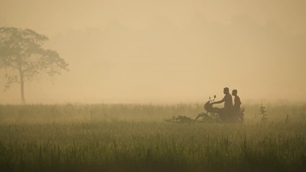 View of a person riding a motorcycle through misty fields Bangladesh.