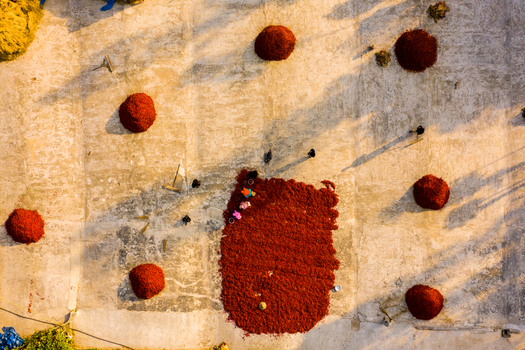 Bogura Rajshahi Division Bangladesh 06 March 2022 Aerial view of workers drying red chili peppers on a concrete surface with piles of chilies and long shadows cast by the sun.