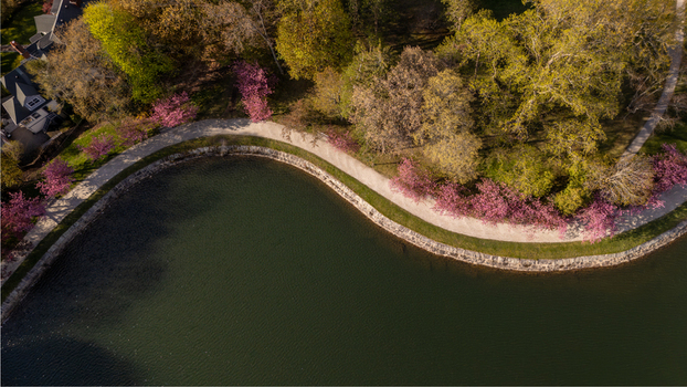 Aerial view of Brookline Reservoir featuring a curved stone shoreline a walking path lined with blooming pink trees and lush spring foliage Brookline Massachusetts United States. Aerial view of Brookline Reservoir featuring a curved stone shoreline a walking path lined with blooming pink trees and lush spring foliage Brookline Massachusetts United States.