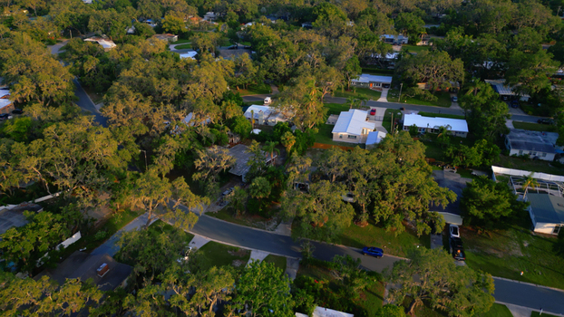 Aerial view of a residential neighborhood with lush green trees houses with white roofs and winding roads illuminated by warm golden hour light in Tampa Florida United States. Aerial view of a residential neighborhood with lush green trees houses with white roofs and winding roads illuminated by warm golden hour light in Tampa Florida United States.