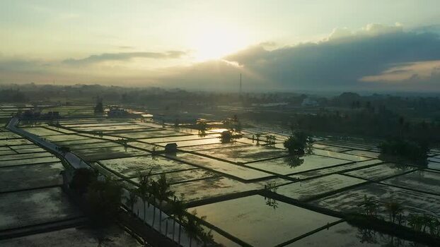 Aerial view of flooded rice paddies at sunrise in Bali Indonesia. Aerial view of flooded rice paddies at sunrise in Bali Indonesia.
