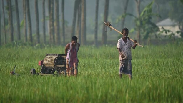 View of farmers working in a green field in Bogura Bangladesh. View of farmers working in a green field in Bogura Bangladesh.