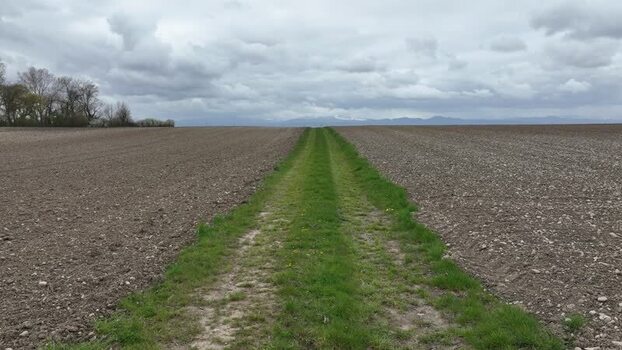 Aerial view of field with grass path France.