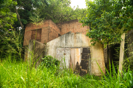 View of abandoned brick buildings and weathered structures overgrown with lush tropical vegetation and tall green grass Mirissa Southern Province Sri Lanka. View of abandoned brick buildings and weathered structures overgrown with lush tropical vegetation and tall green grass Mirissa Southern Province Sri Lanka.