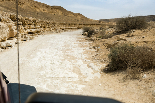 View of the rugged desert terrain with a winding sandy road cutting through golden cliffs and sparse vegetation in Wadi Degla Protectorate Cairo Cairo Governorate Egypt. View of the rugged desert terrain with a winding sandy road cutting through golden cliffs and sparse vegetation in Wadi Degla Protectorate Cairo Cairo Governorate Egypt.