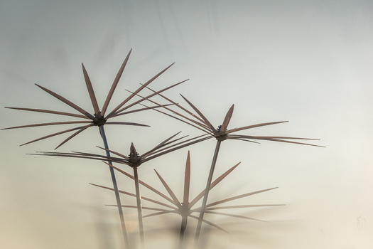 View of metal starburst sculptures with thin radiating spikes against a soft blurred background in Switzerland.