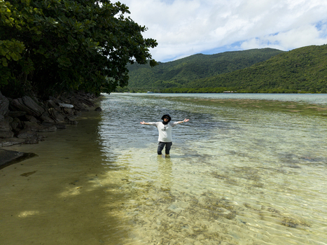 Aerial view of a person standing in the shallow clear waters of Bobby Beach with arms outstretched framed by lush greenery and distant hills Karimunjawa Central Java Indonesia.