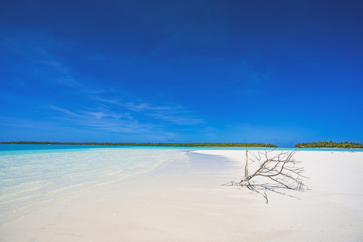 View of Aitutaki Lagoon with white sand beach turquoise water and a piece of driftwood under a clear blue sky in Aitutaki Cook Islands. View of Aitutaki Lagoon with white sand beach turquoise water and a piece of driftwood under a clear blue sky in Aitutaki Cook Islands.