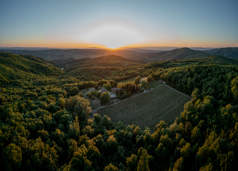 Aerial view of a vineyard and farmhouse nestled in the rolling hills of Tuscany at sunset surrounded by lush forests and golden light in Greve in Chianti Tuscany Italy.