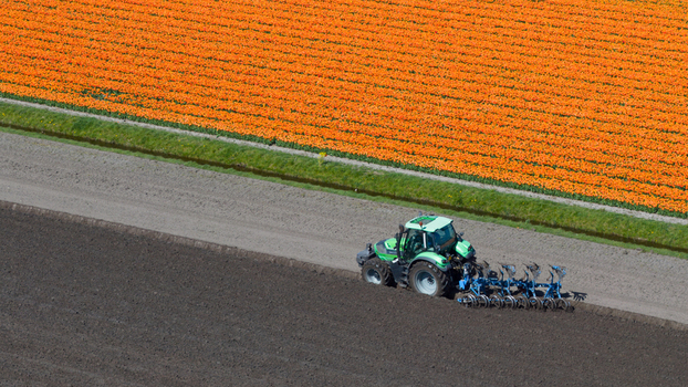 Aerial view of a green tractor plowing dark soil next to a vibrant orange tulip field in Heiloo North Holland Netherlands. Aerial view of a green tractor plowing dark soil next to a vibrant orange tulip field in Heiloo North Holland Netherlands.