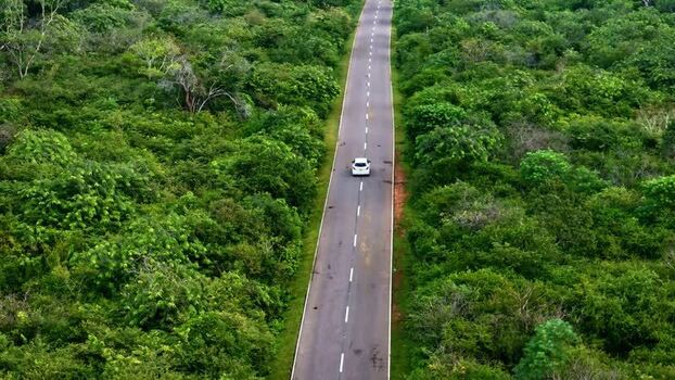 Aerial view of a car driving on a road in Sri Lanka.